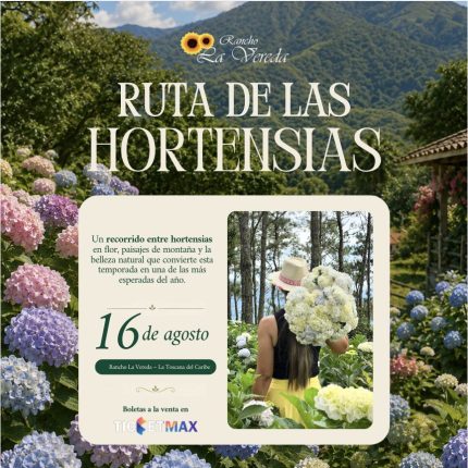 Ruta de las Hortensias | 11:30 AM | Domingo 16 Agosto 2026