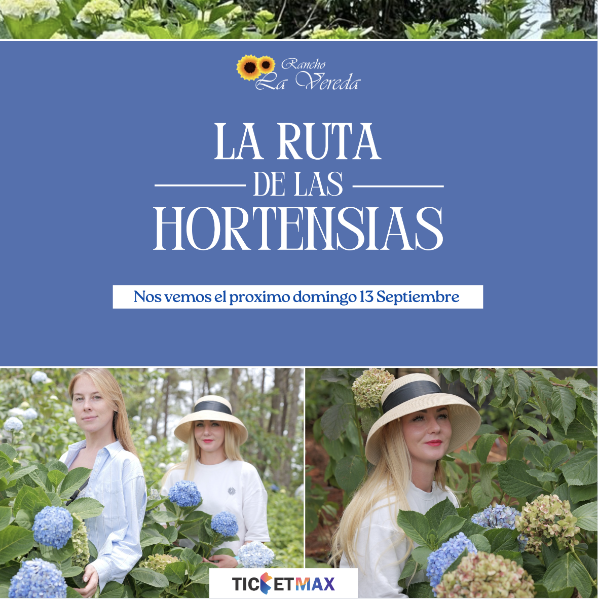 Ruta de las Hortensias